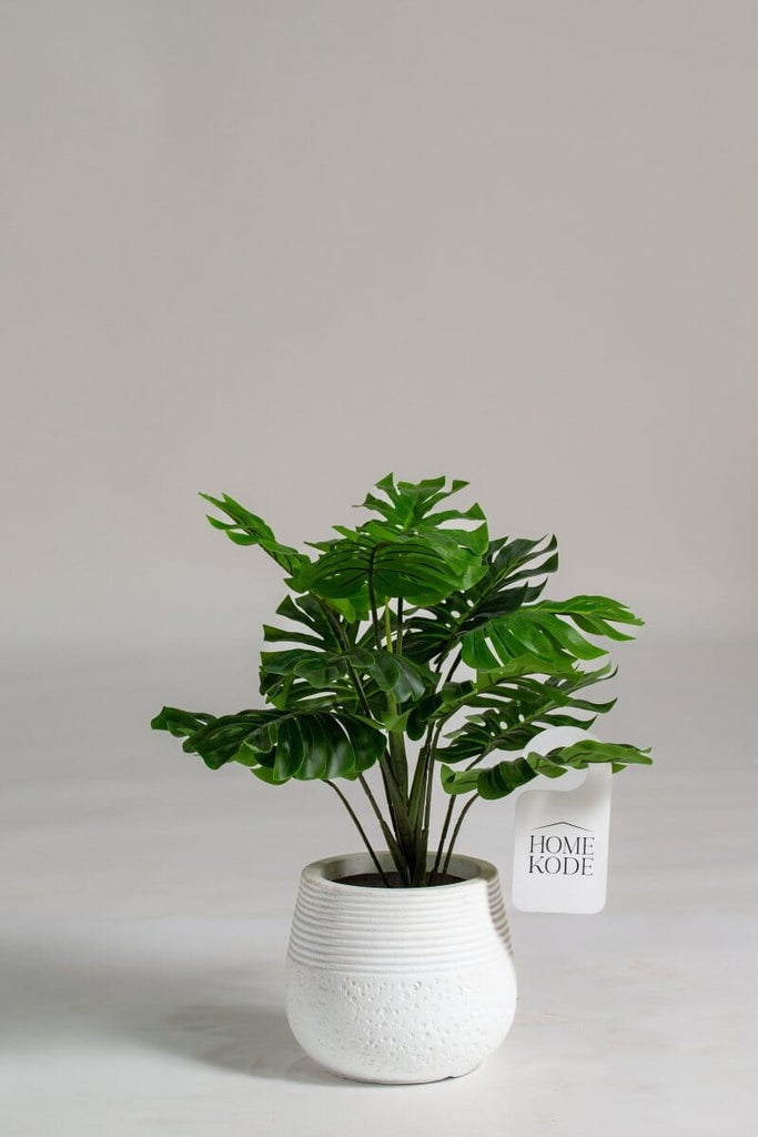 Swiss cheese Artificial Plant (Pot not included) Homekode 