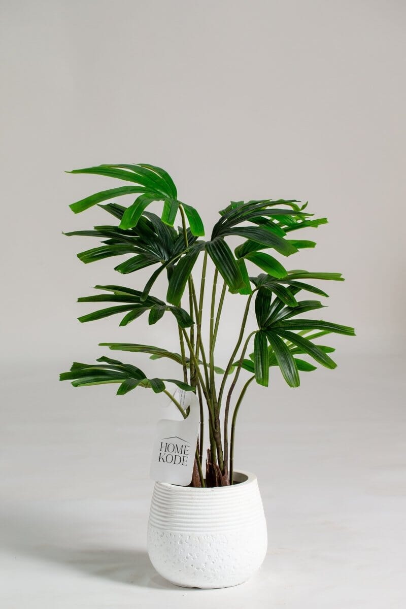 Broadleaf lady palm Artificial Plant