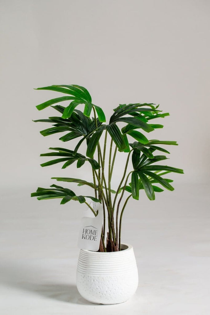 Broadleaf lady palm Artificial Plant (Pot not included) Homekode 