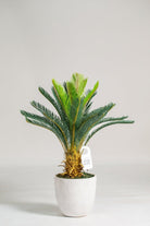 Sago Palm Artificial Plant (Pot not included) Homekode 