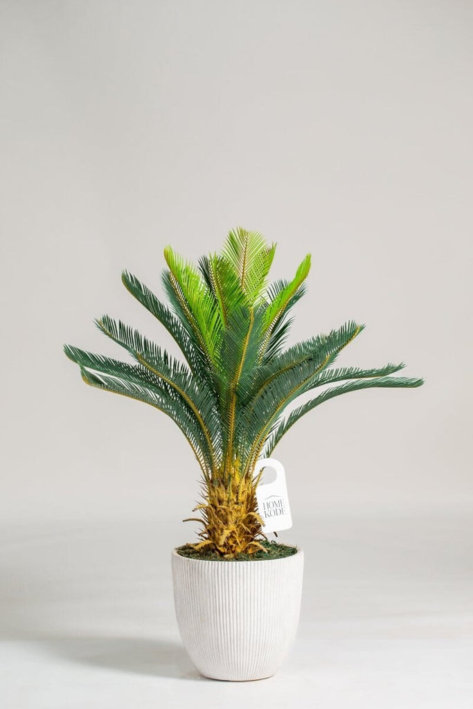 Sago Palm Artificial Plant (Pot not included) Homekode 