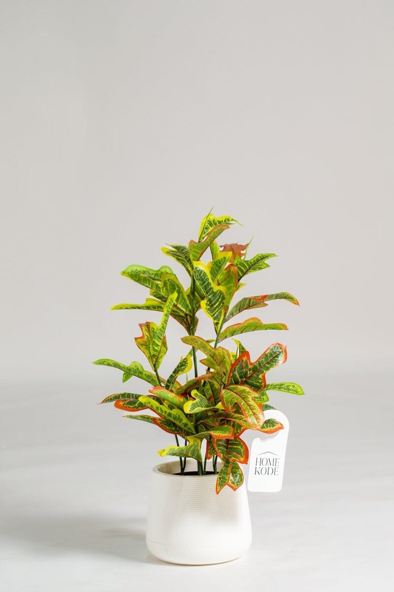 Orange Croton Artificial Plant