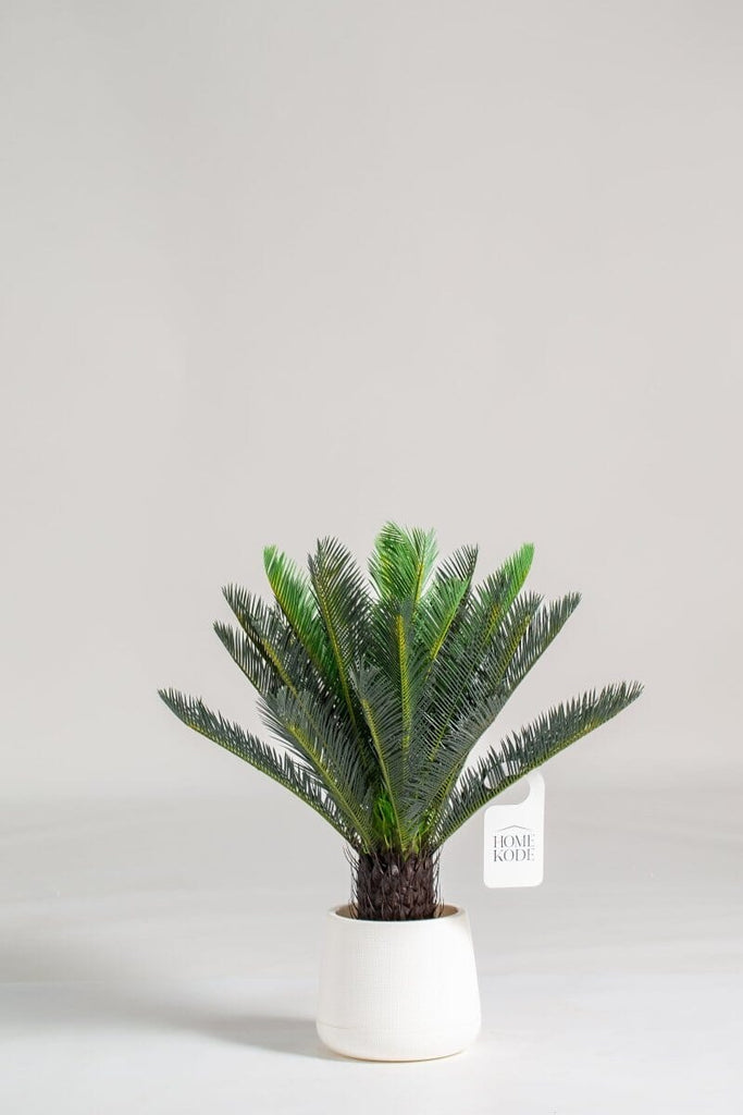 Cycas Artificial Plant (Pot not included) Homekode 
