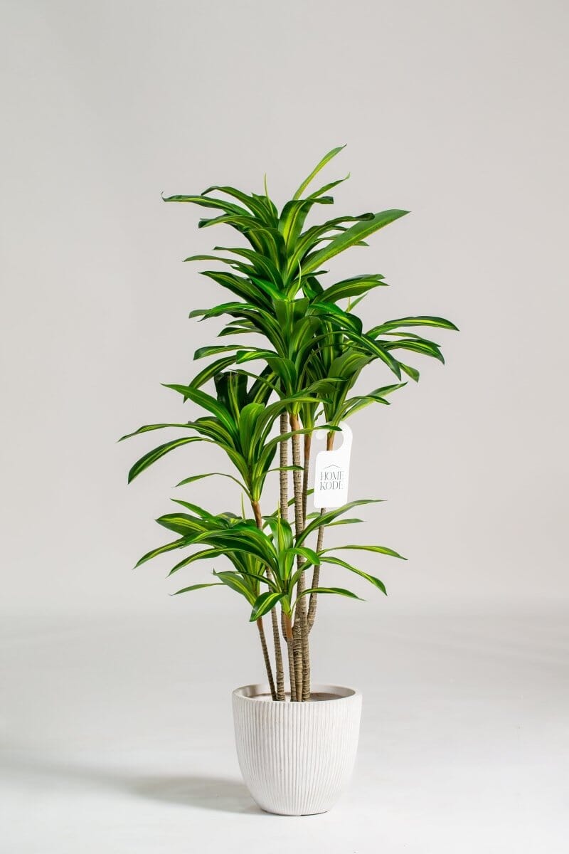 Dracaena Fragrans Artificial Plant