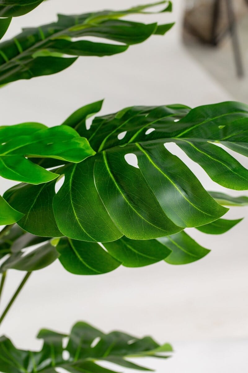 Monstera Artificial Plant (Pot not included) Homekode 