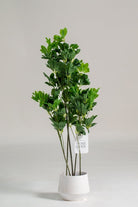 Schefflera Artificial Plant ((Pot not included) Homekode 