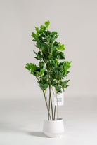 Schefflera Artificial Plant ((Pot not included) Homekode 