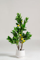 Lemon Artificial Plant (Pot not included) Homekode 