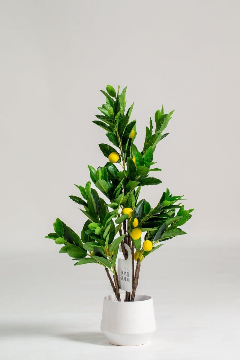 Lemon Artificial Plant (Pot not included) Homekode 