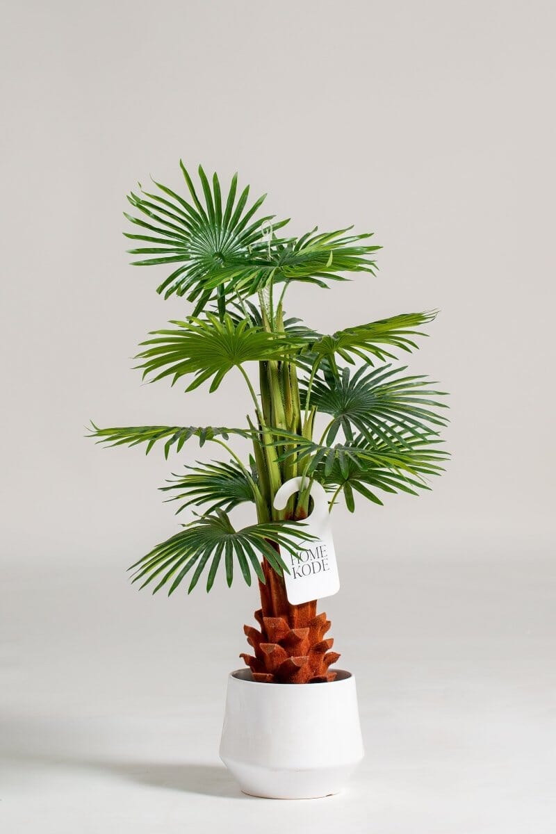 Enzo De Gasperi Artificial Plant (Pot not included) Homekode 