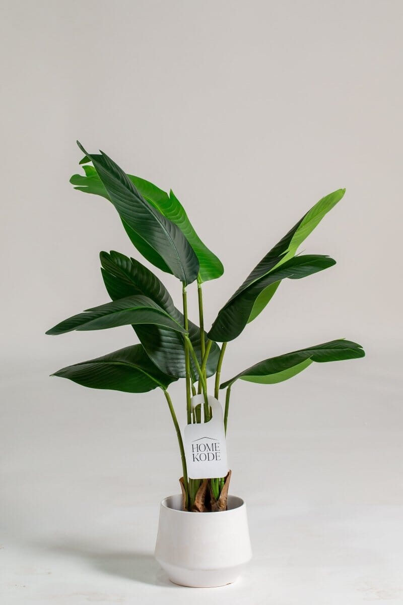 Strelitzia Nicolai Artificial Plant (Pot not included) Homekode 