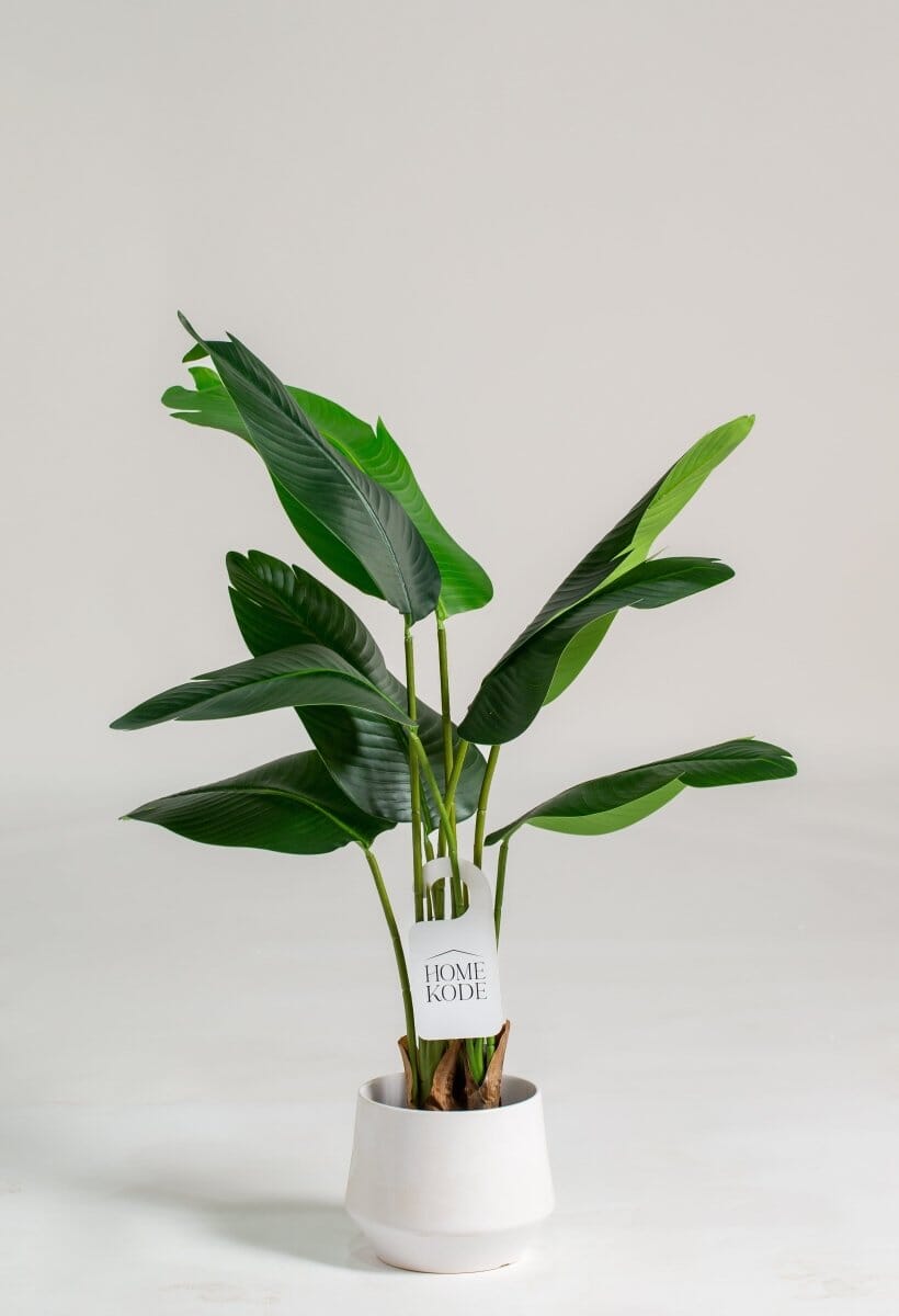 Strelitzia Nicolaiificial Plant (Pot not included) Homekode 