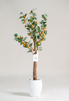 Mandarin Orangeificial Plant (Pot not included) Homekode 