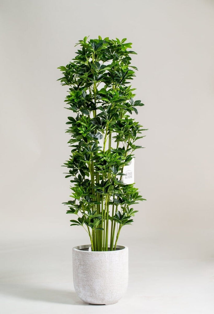 Schefflera Arboricola Artificial Plant (Pot not included) Homekode 