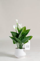 Arum Lilyificial Plant (Pot not included) Homekode 