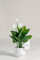 Arum Lily Artificial Plant (Pot not included) Homekode 