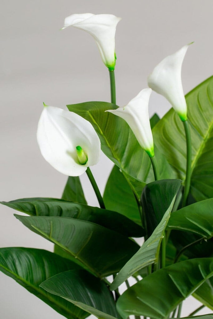 Arum Lily Artificial Plant (Pot not included) Homekode 
