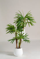 Broadleaf Lady Palm Artificial Plant (Pot not included) Homekode 