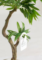 Ficus Artificial Tree (Pot not Included) Homekode 