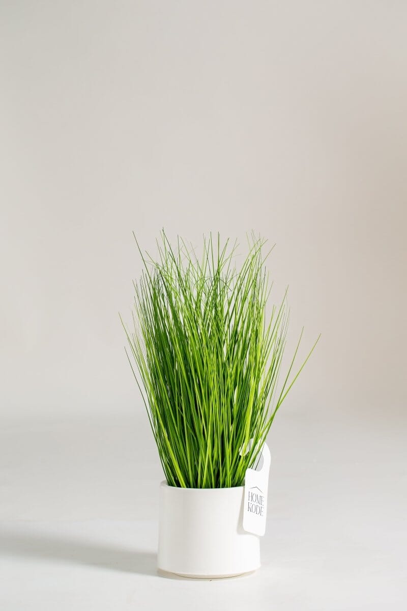 Eleocharis Artificial Plant (Pot not included) Homekode 