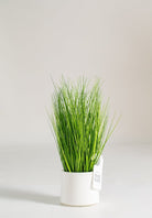 Eleocharis Artificial Plant (Pot not included) Homekode 