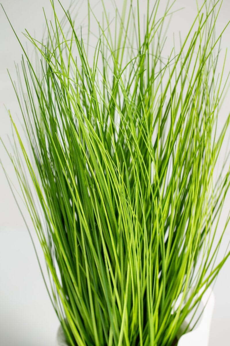 Eleocharis Artificial Plant (Pot not included) Homekode 