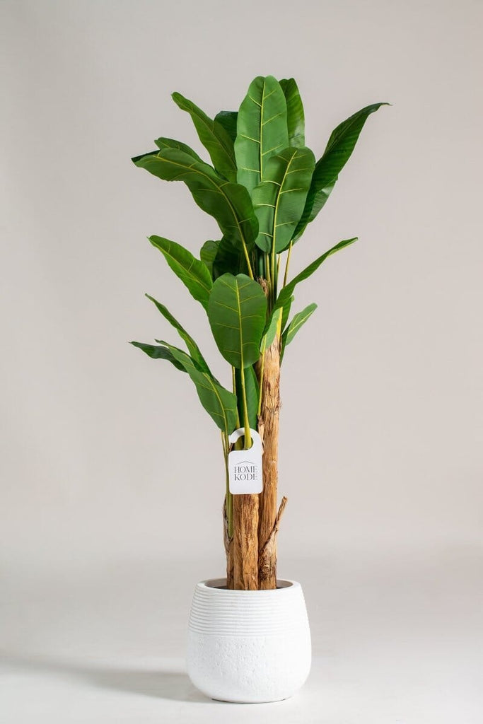 Musa Ornata Artificial Plant (Pot not included) Homekode 