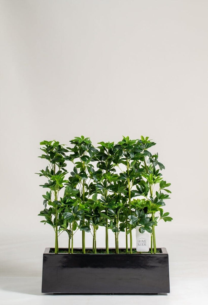 Schefflera Potted Artificial Plants (Pot not included) Homekode 