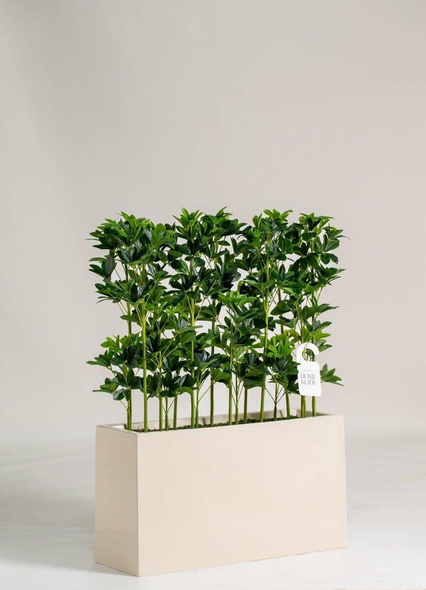 Schefflera Pottedificial Plants (Pot not Included) Homekode 