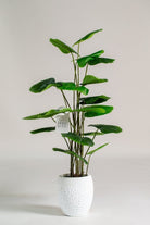 Philodendron Artificial Plant (Pot not included) Homekode 