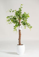 Celtis Australisificial Plant (Pot not included) Homekode 