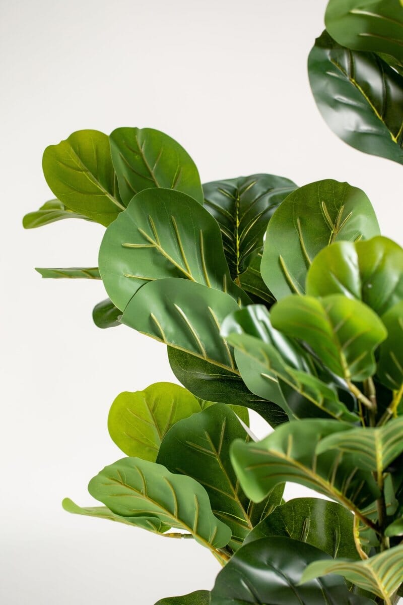Fiddle Leafificial Plant (Pot not included) Homekode 