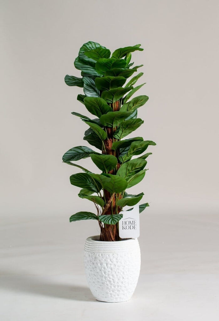 Fiddle-leaf fig Artificial Plant (Pot not included) Homekode 
