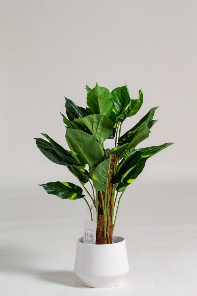 Philodendron Artificial Plant (Pot not included) Homekode 