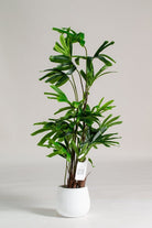 Broadleaf lady palm Artificial Plant (Pot not included) Homekode 