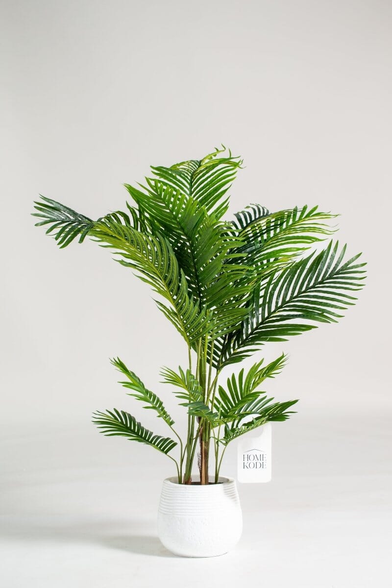 Areca Palmificial Plant (Pot not included) Homekode 