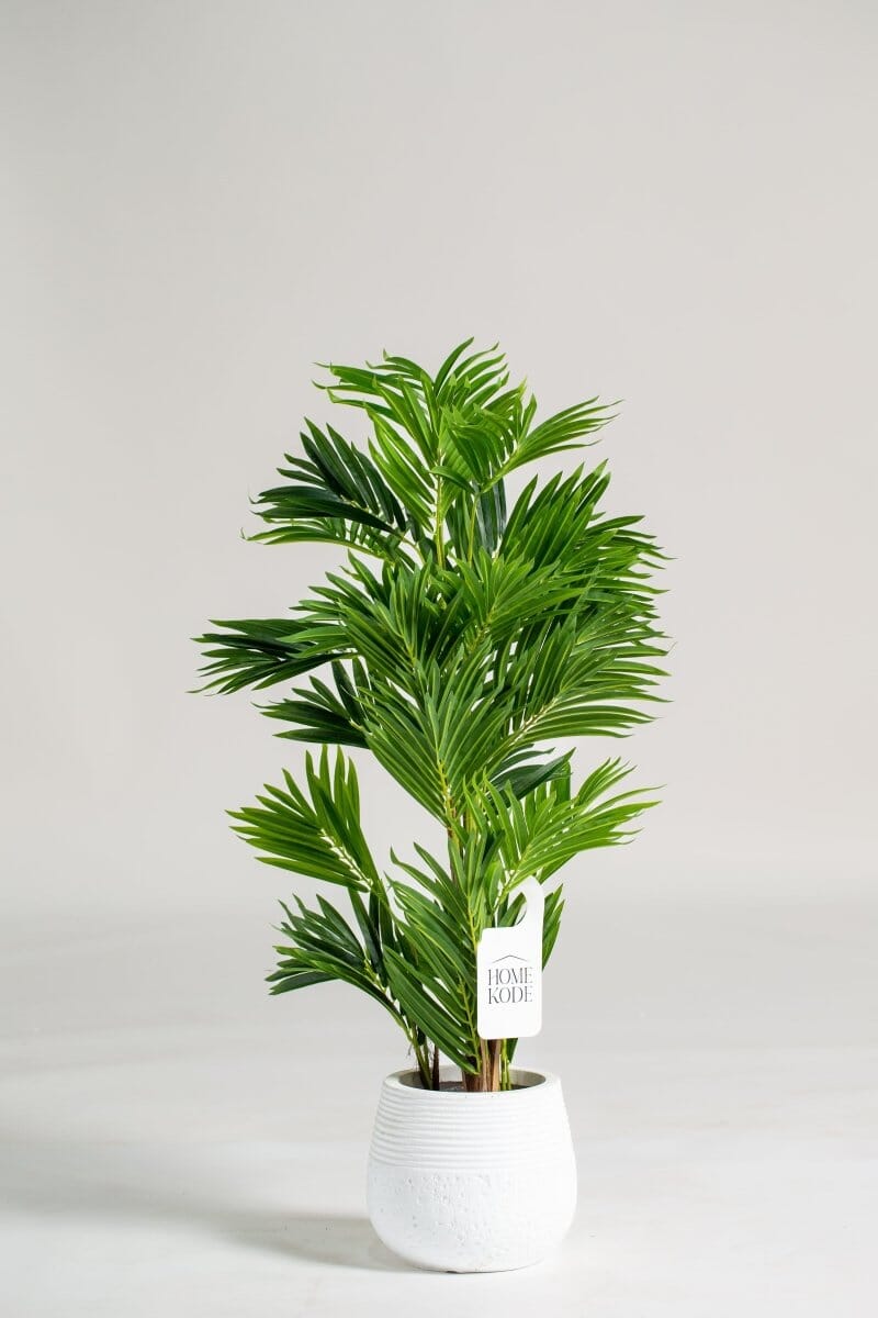 Areca Palmificial Plant (Pot not included) Homekode 