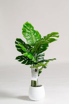 Swiss Cheese Artificial Plant (Pot not included) Homekode 