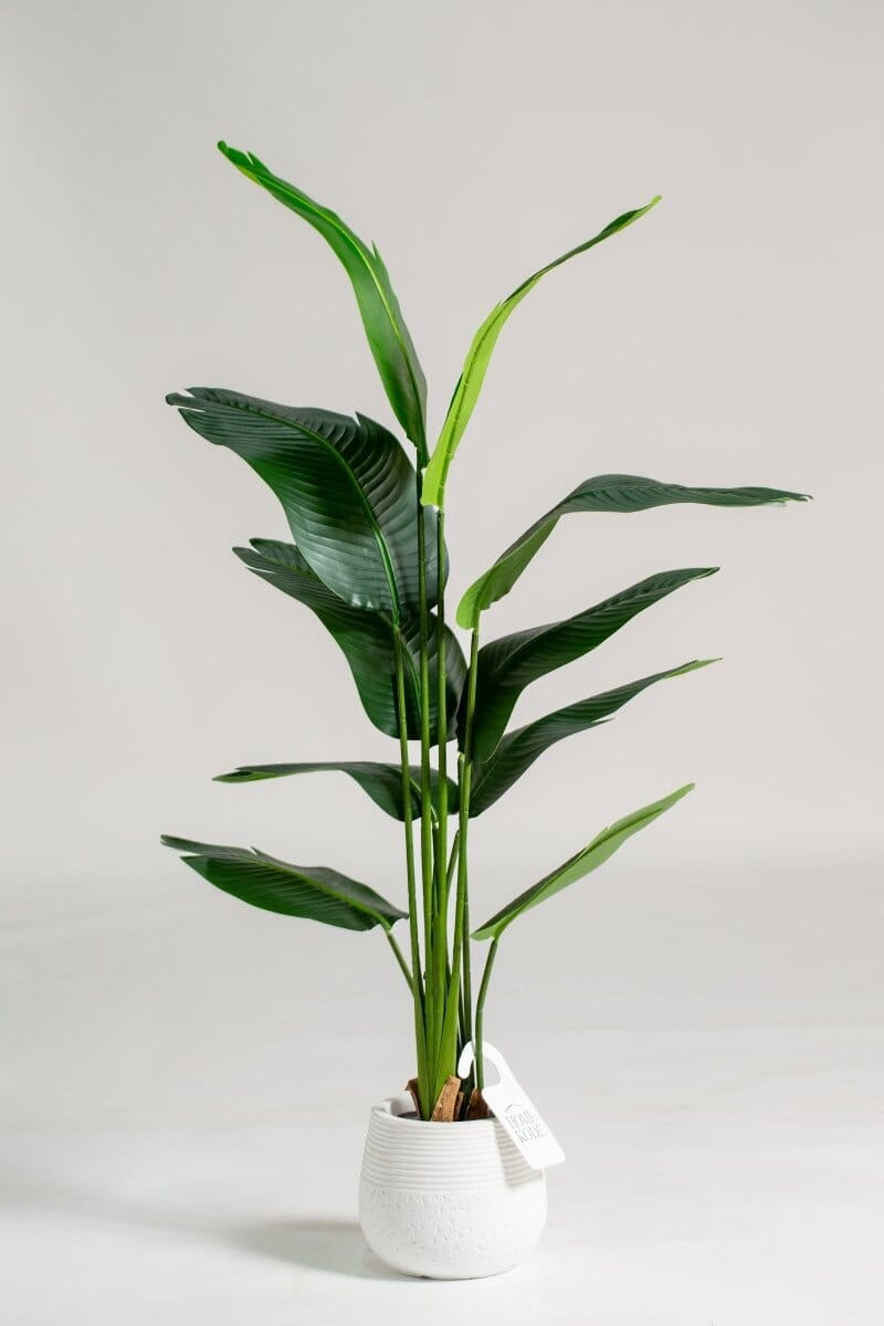 Strelitzia nicolai Artificial Plant (Pot not included) Homekode 