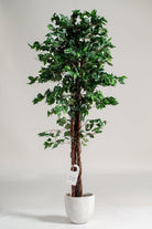 Ficus Benjaminaificial Plant (Pot not included) Homekode 