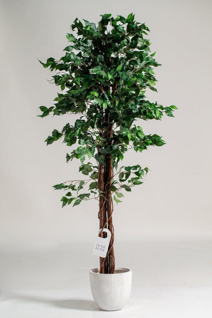 Ficus Benjamina Artificial Plant (Pot not included) Homekode 