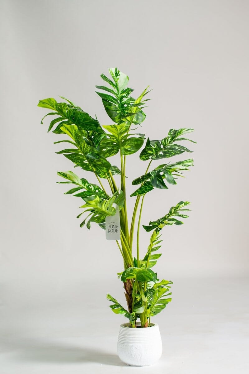 Monstera Adansonii Artificial Plant