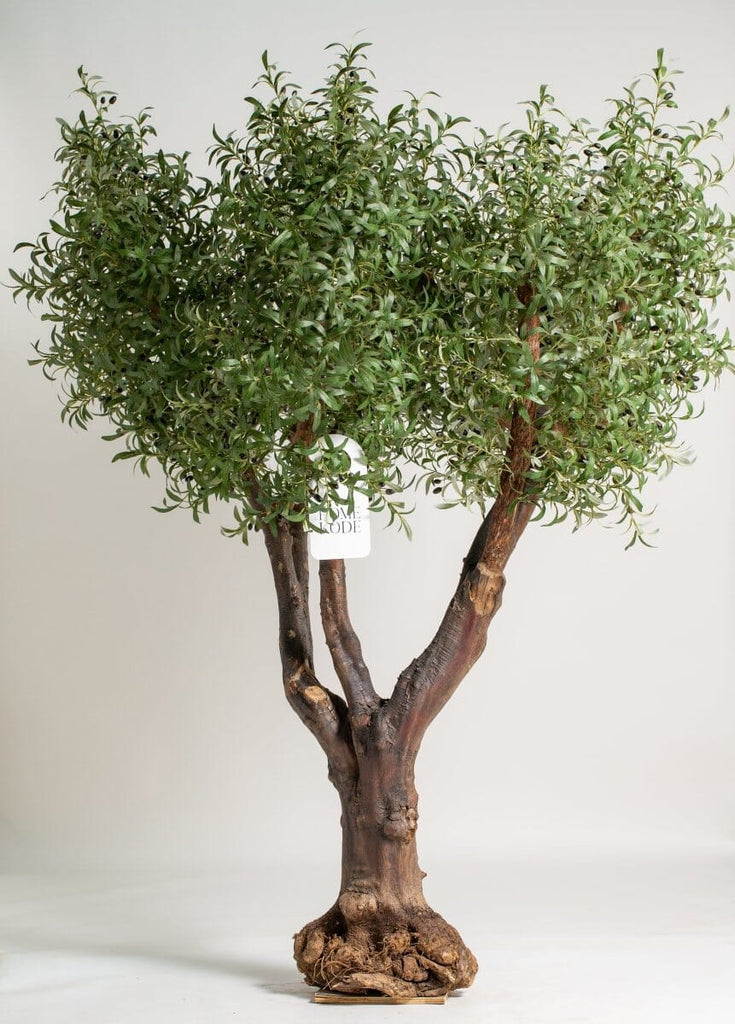 Original olive trunk with artificial olive leaves (3 Sizes) Homekode 