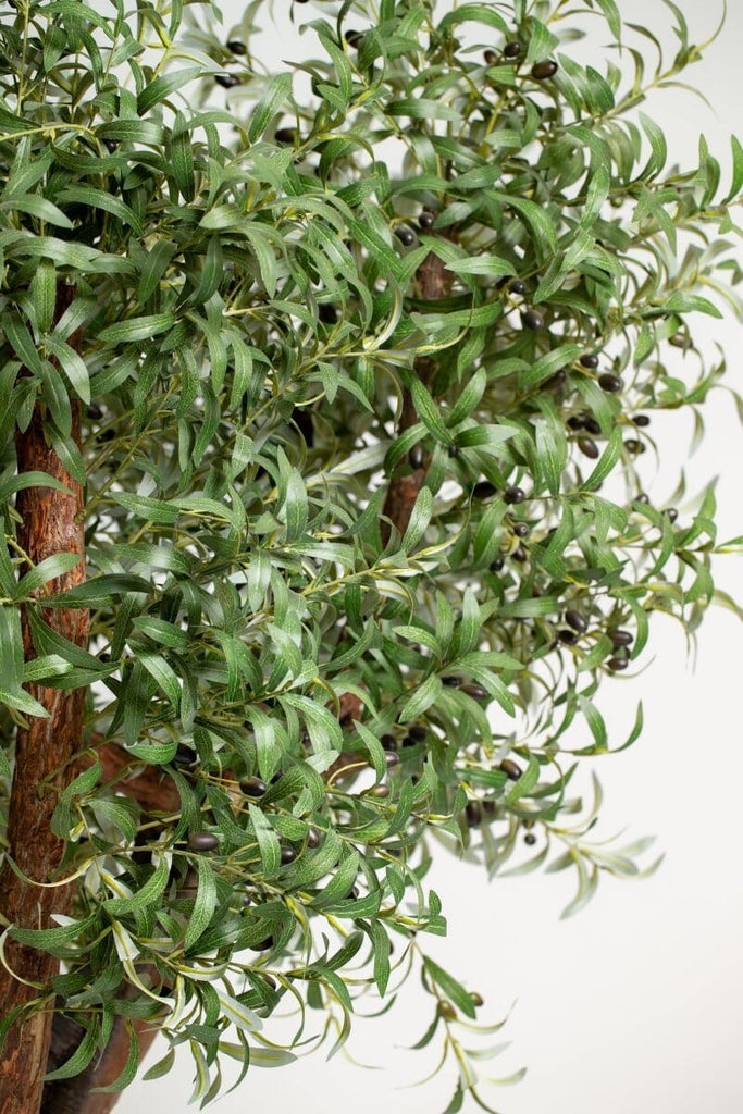 Original olive trunk with artificial olive leaves (3 Sizes) Homekode 