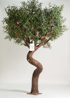 ificial Olive Tree with Curving Trunk (3 Meter Height) Homekode 