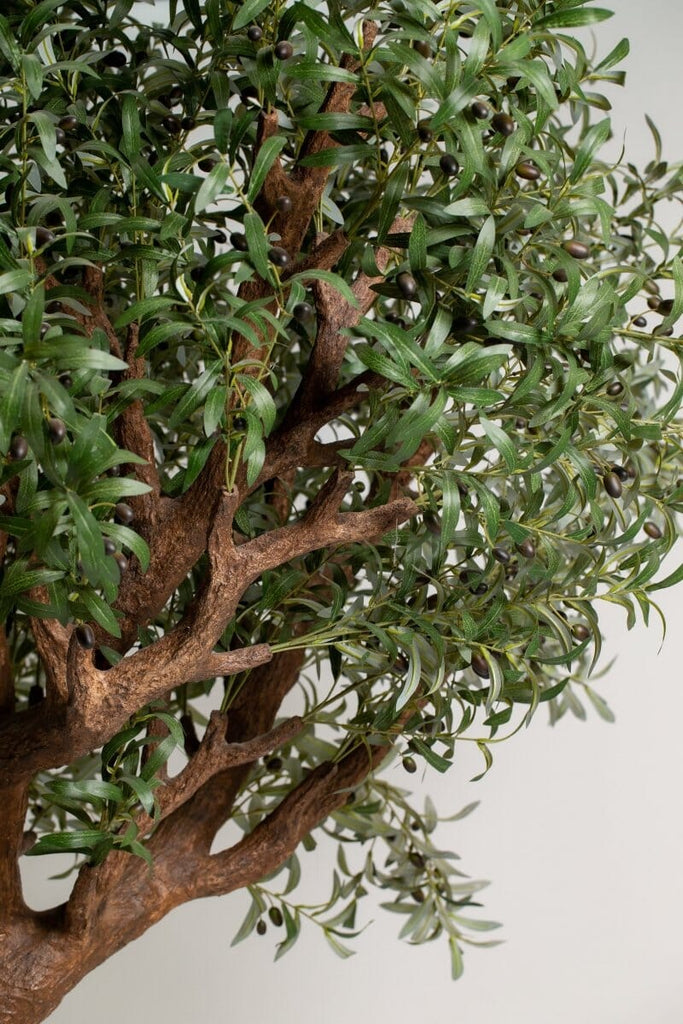 Artificial Olive Tree with Curving Trunk (3 Meter Height) Homekode 