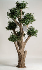 ificial Olive Tree with Thick Trunk (3 Meter Height) Homekode 