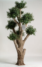 ificial Olive Tree with Thick Trunk (3 Meter Height) Homekode 