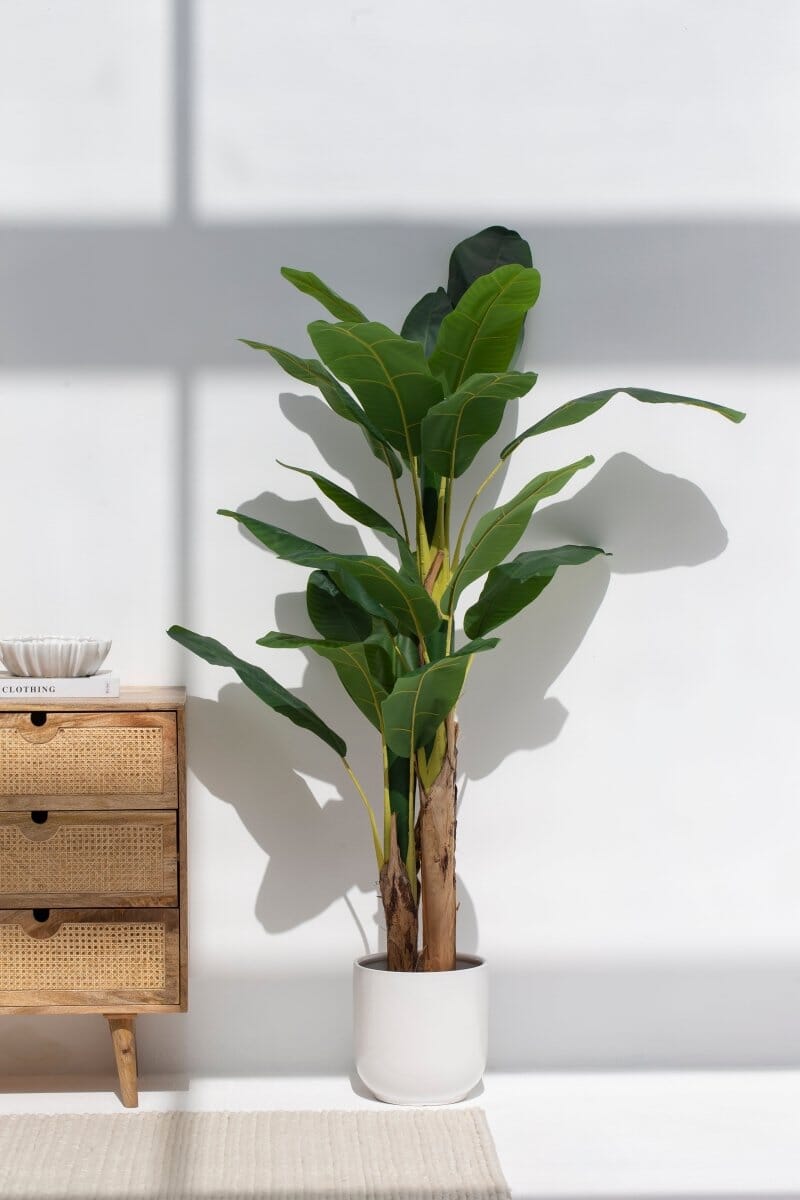 Musa Ornata Artificial Plant (Pot not included) Homekode 