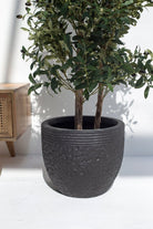 Olive Artificial Tree (4 Sizes) (Pot not included) FLO 